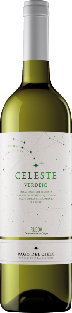 2024 Celeste Verdejo