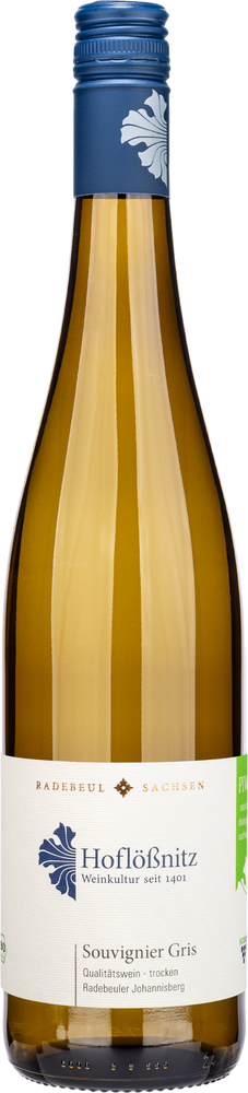 2025 Souvignier Gris - Radebeuler Johannisberg BIO
