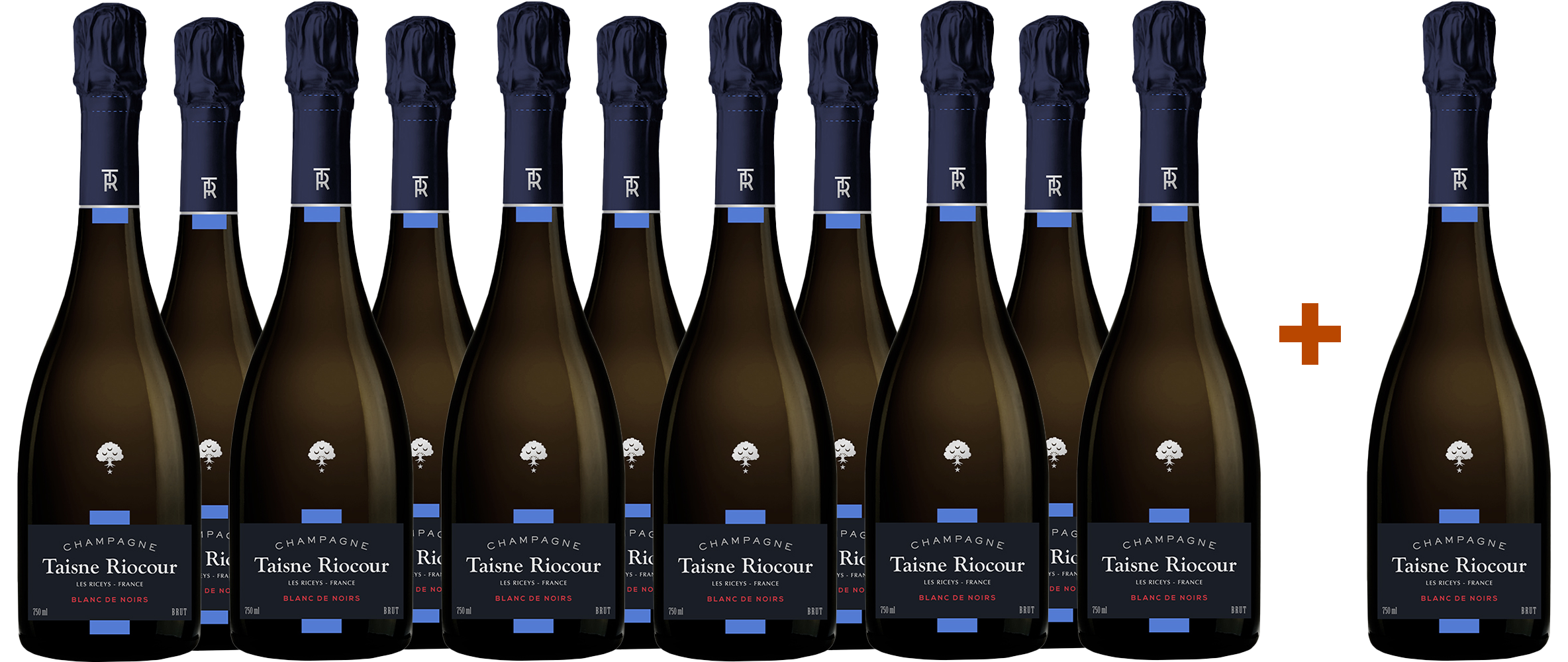 11+1 Paket Blanc de Noirs Champagne AOP