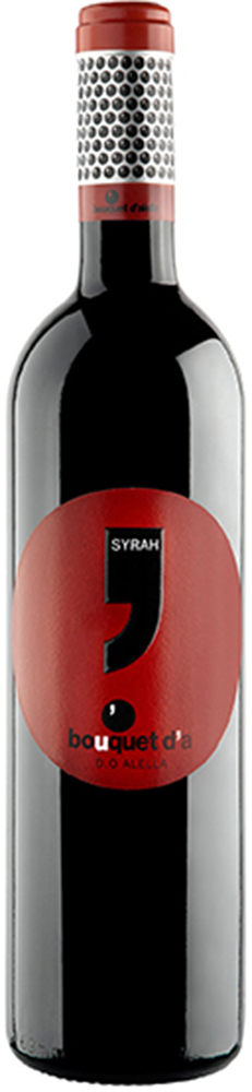 2022 Syrah Alella DO BIO