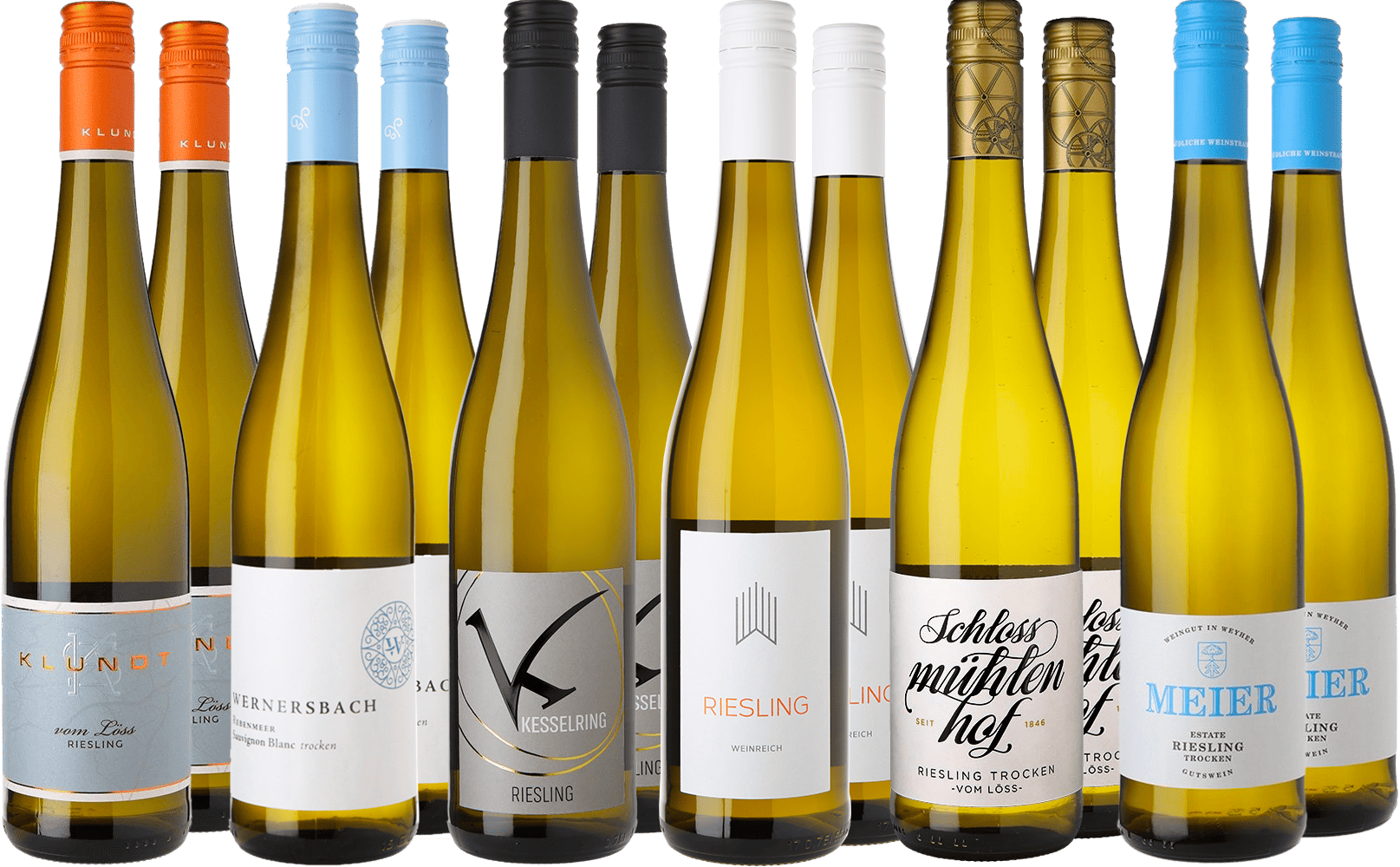 Großes Riesling Entdecker-Paket