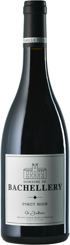 2023 Pinot Noir Pays d'Oc IGP