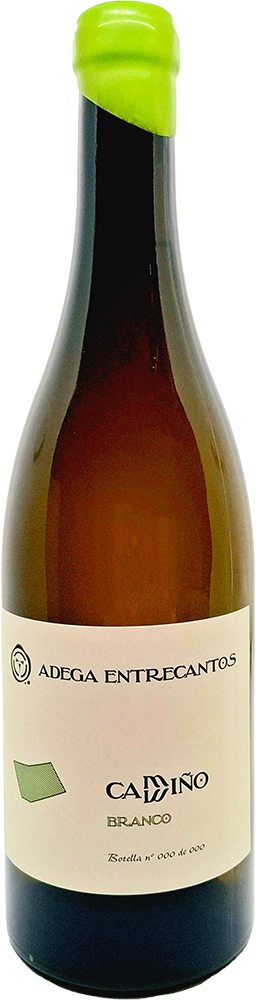2023 Camiño Branco