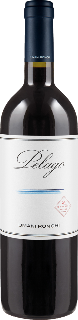 2019 Pelago Rosso BIO