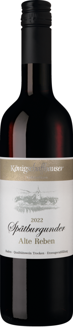 2022 Königschaffhauser Vulkanfelsen Spätburgunder