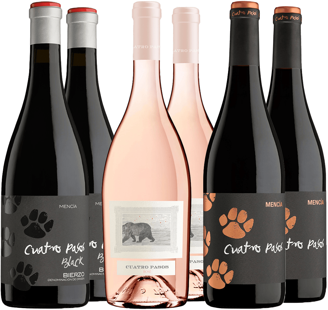 Kennenlern-Paket 4 Pasos Bierzo DO