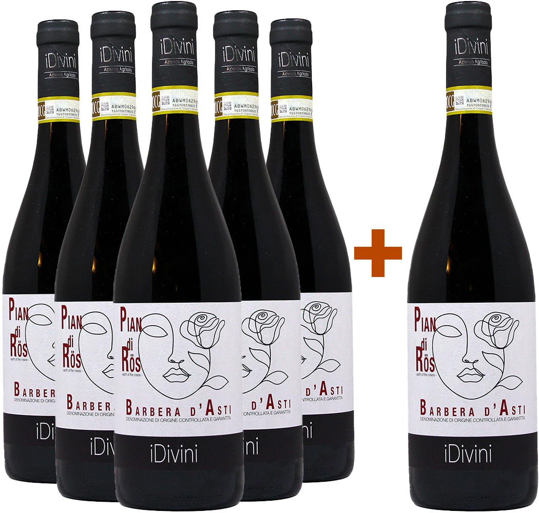 5+1 Paket Pian di Rös Barbera d’Asti DOCG