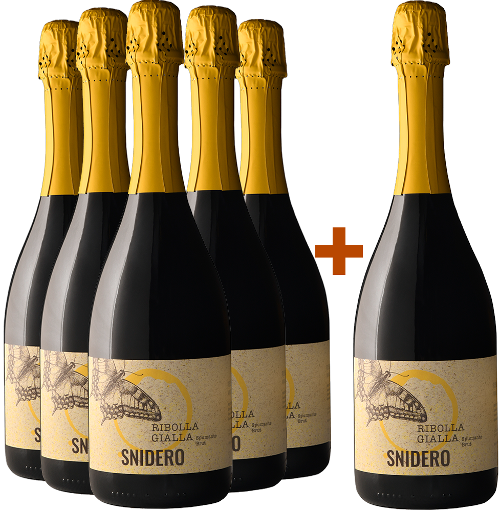 5+1 Paket Ribolla Gialla