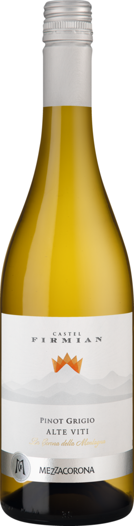 2025 Alte Viti Pinot Grigio