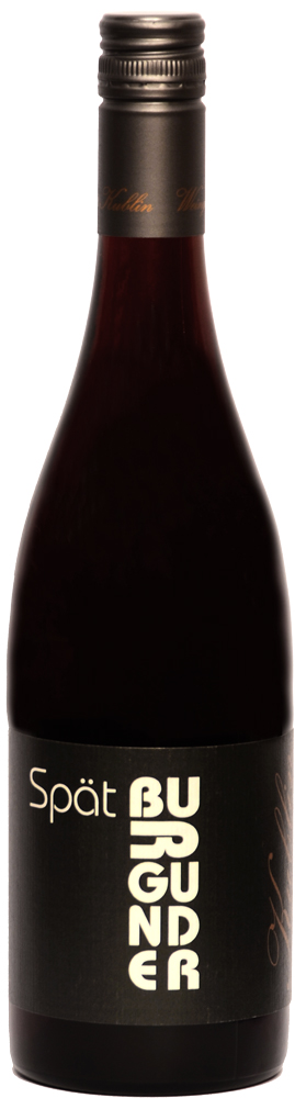 2022 Spätburgunder Rotwein Gutswein