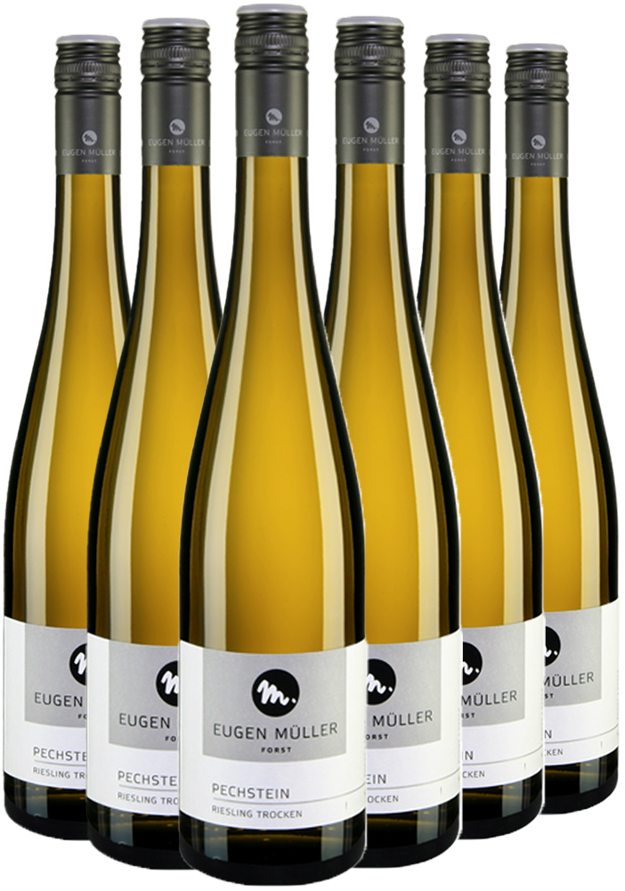 Paket Riesling "Pechstein" trocken