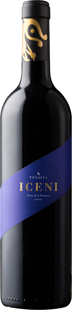 2025 Iceni Cádiz VT