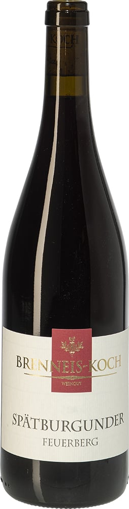 2018 Dürkheimer Feuerberg Spätburgunder Rotwein