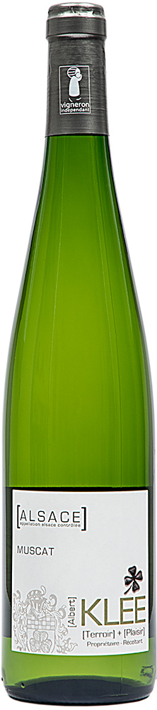 2024 Muscat d'Alsace AOP