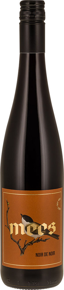 2022 SPÄTBURGUNDER & DUNKELFELDER Rotwein Cuvée "Noir De Noir"