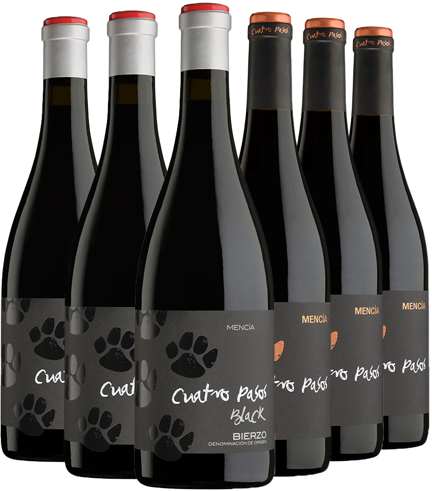 Kennenlernpaket Mencía 4 Pasos Bierzo DO