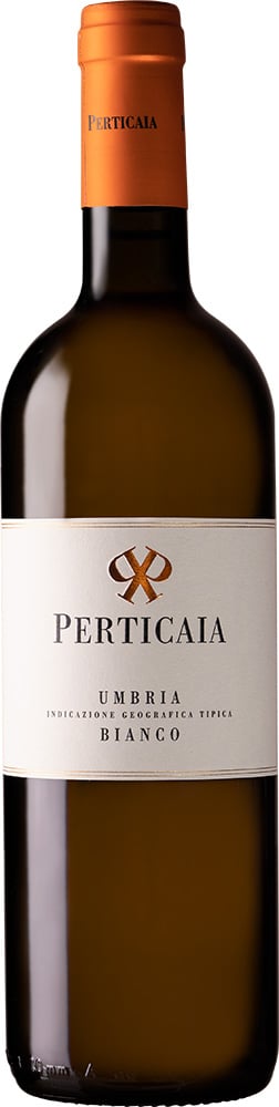 2025 Grechetto Umbria IGP