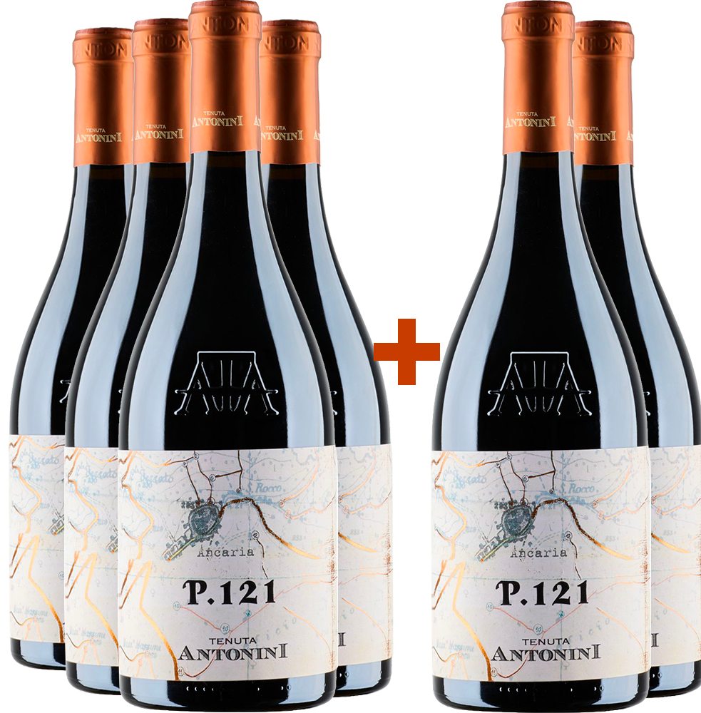4+2 Paket P.121 Montepulciano D’Abruzzo DOCG
