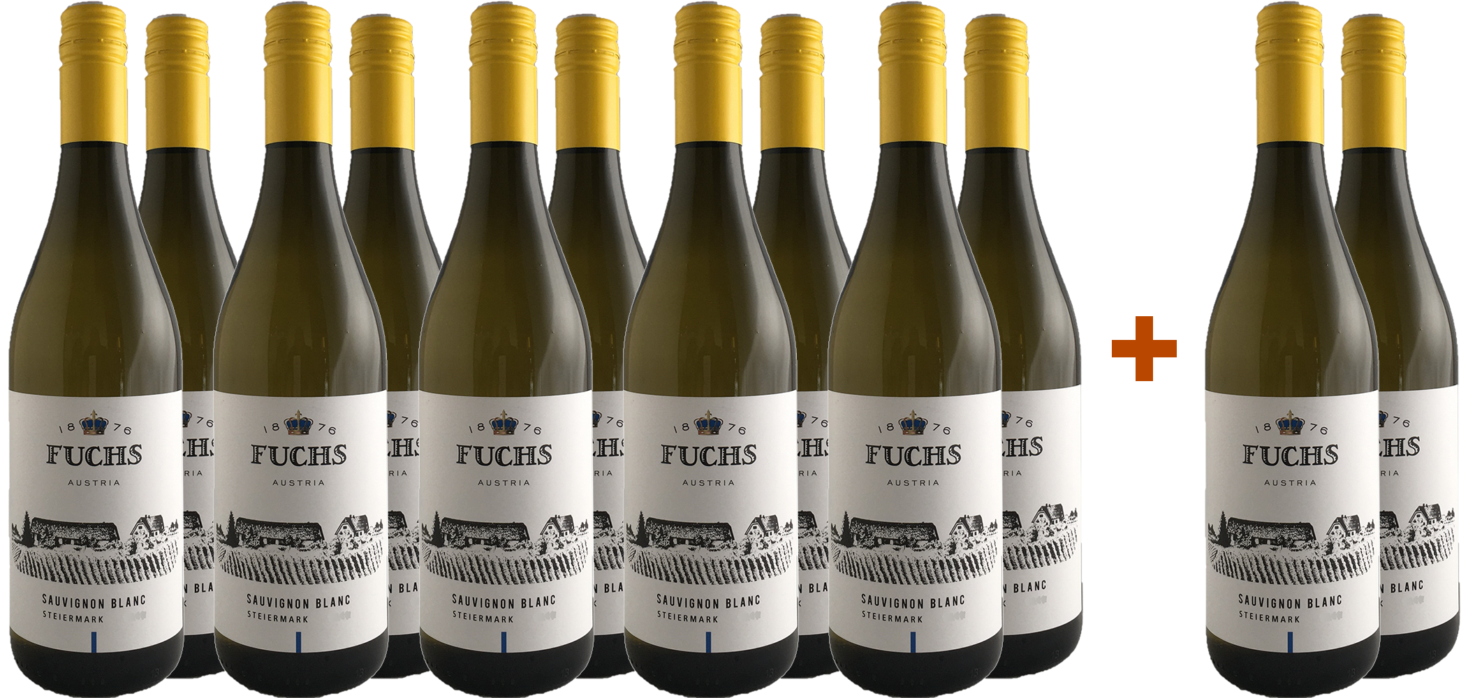 10+2 2025 Steiermark Sauvignon Blanc Paket