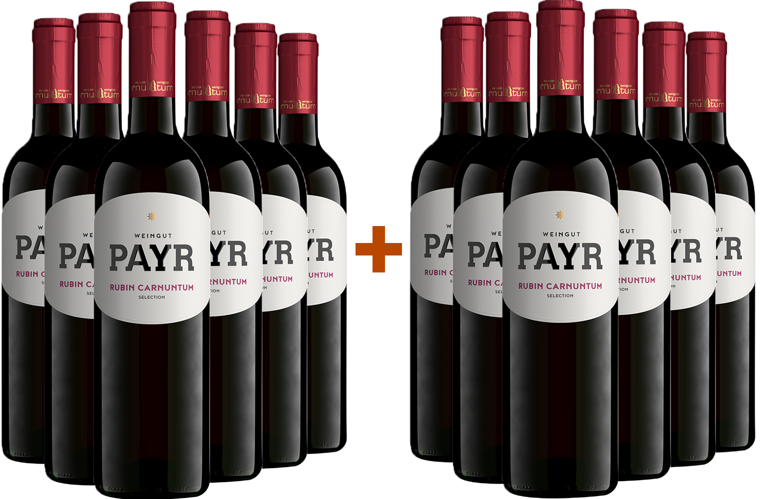 6+6 Paket Zweigelt Rubin Carnuntum DAC ÖTW Gebietswein Bio BIO
