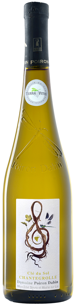 2024 Cuvée "Clé du sol de Chantegrolle" Muscadet Sèvre et Maine sur Lie AOP