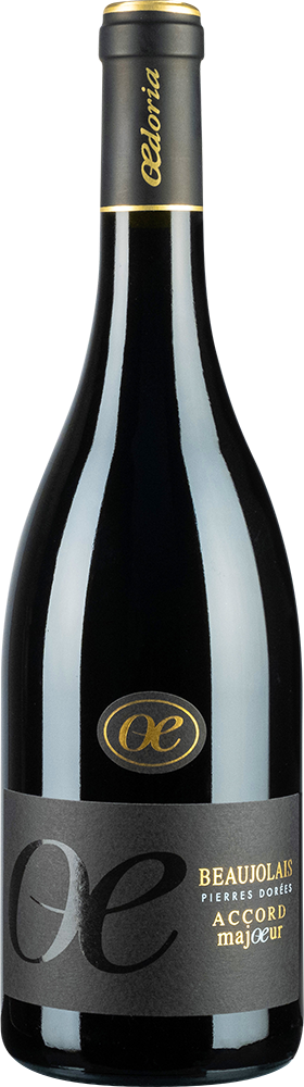 2024 Beaujolais rouge Pierres Dorées - Beaujolais AOP