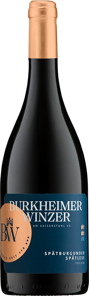 2023 GENUSS Spätburgunder Rotwein "Alte Rebe" Spätlese