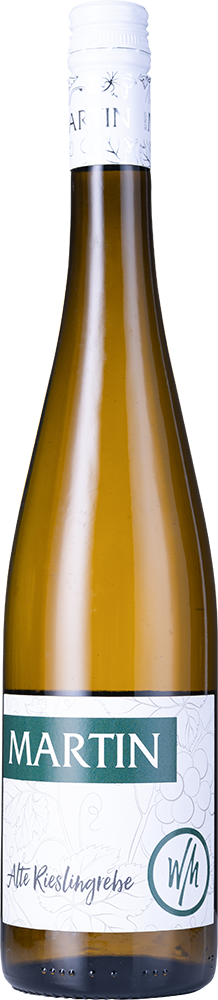 2025 Alte Rieslingreben