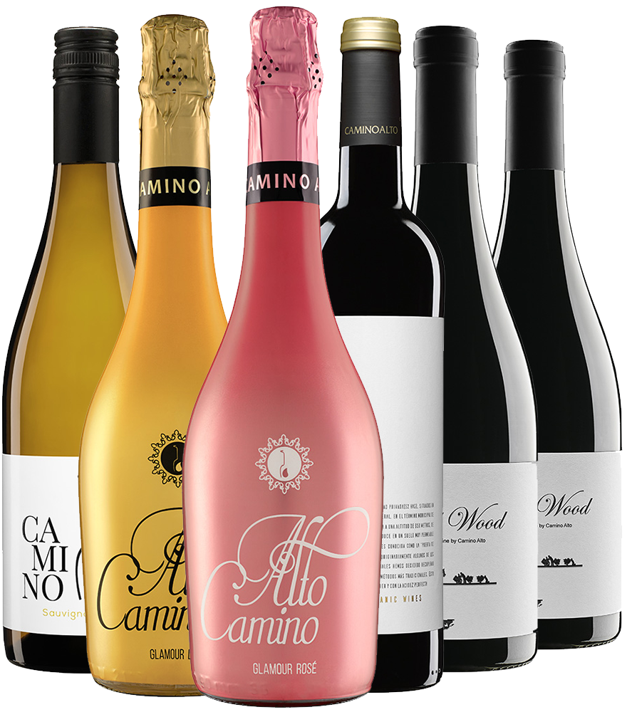 Bodega Camino Alto Probierpaket BIO