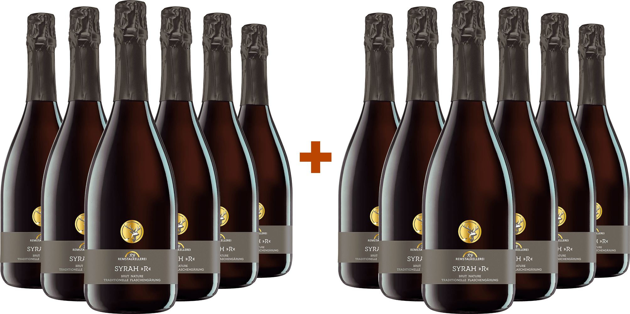 6+6 Paket Syrah "R" Sekt