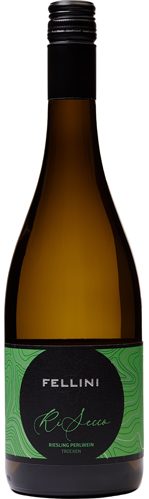 2024 RISECCO
