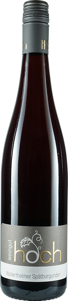 2021 Wallertheimer Blauer Spätburgunder Ortswein BIO
