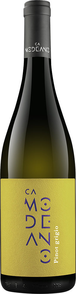 2025 Pinot Grigio Friuli DOC