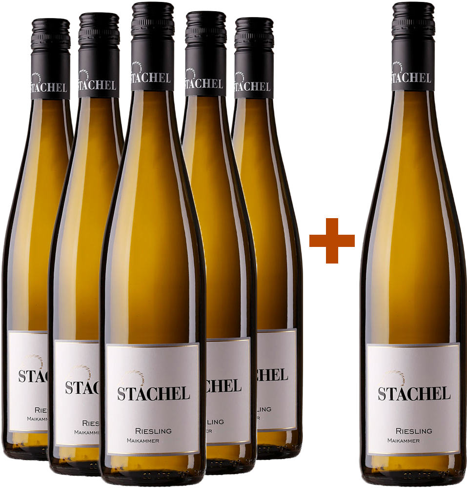 5+1 Paket Riesling Maikammer trocken