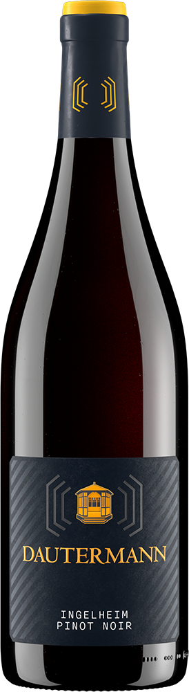 2020 Pinot Noir Ingelheim