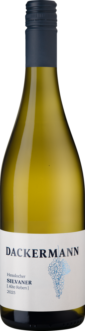 2025 Hesslocher Silvaner Alte Reben