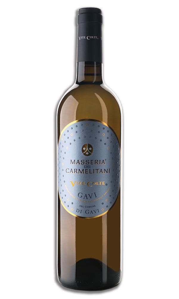 2024 Vite Colte Gavi