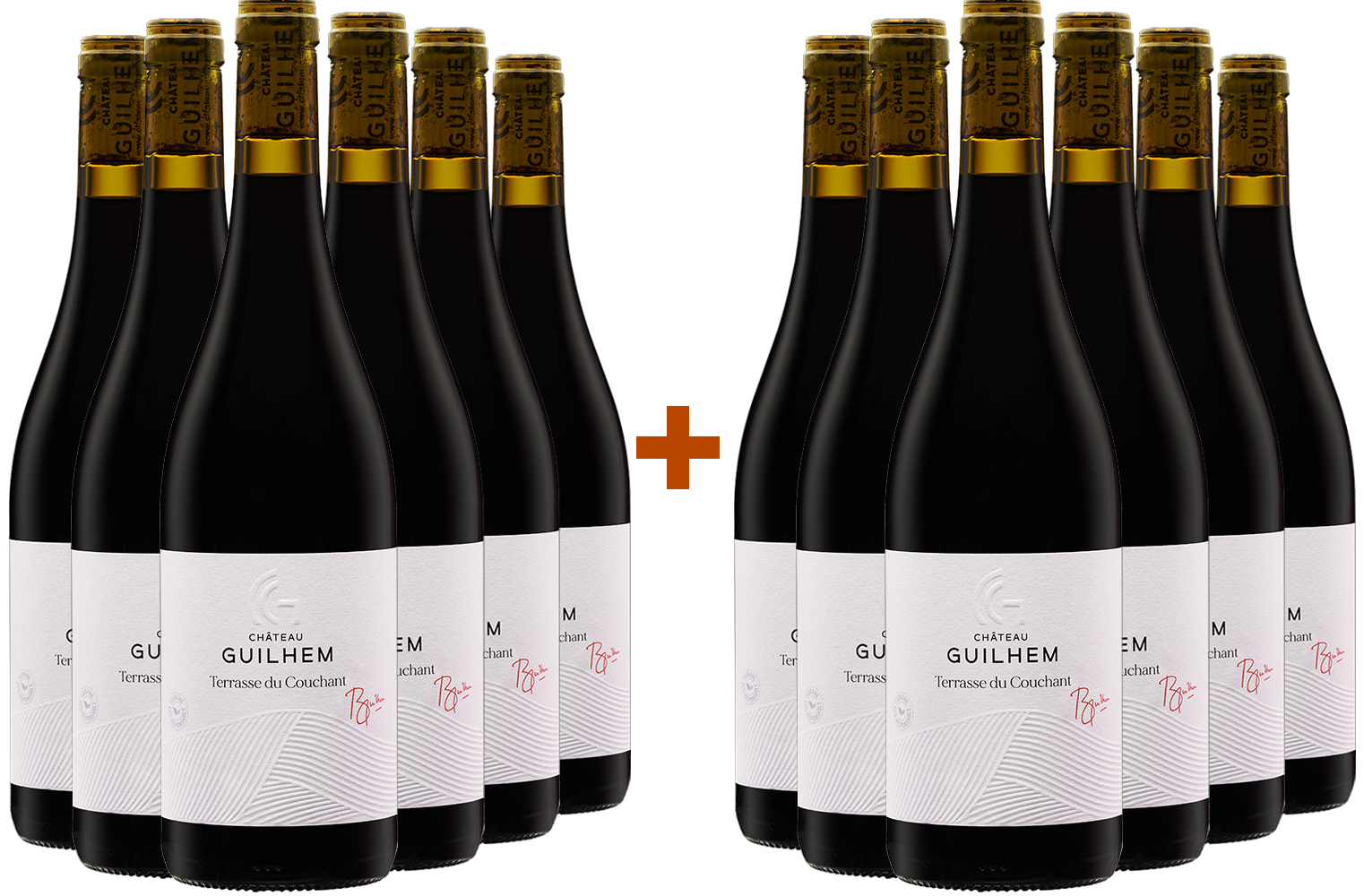 6+6 "Terrasses du Couchant" Malepère Rouge BIO