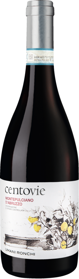 2019 Centovie Montepulciano BIO