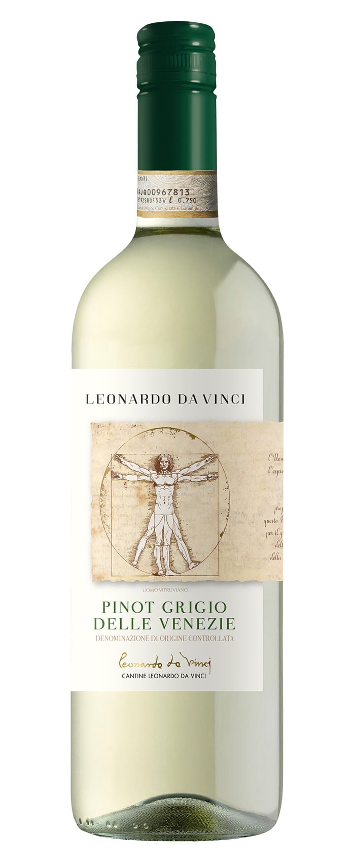 2023 Pinot Grigio delle Venezie DOC