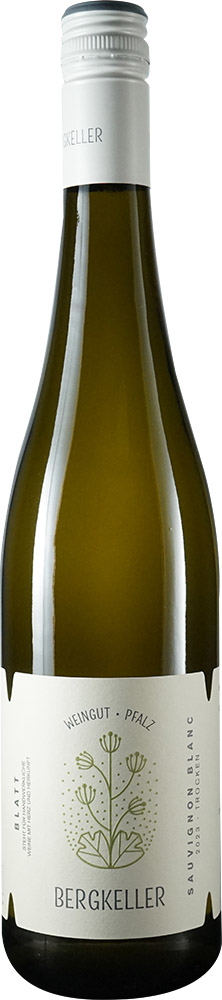 2025 Sauvignon Blanc BIO