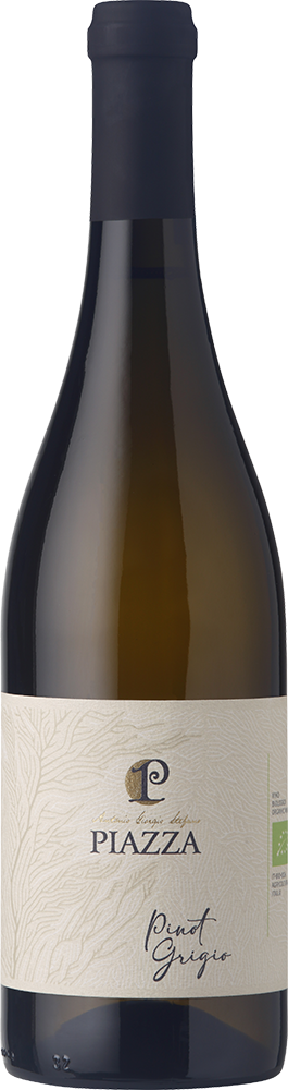 2024 Pinot Grigio Venezia DOC BIO