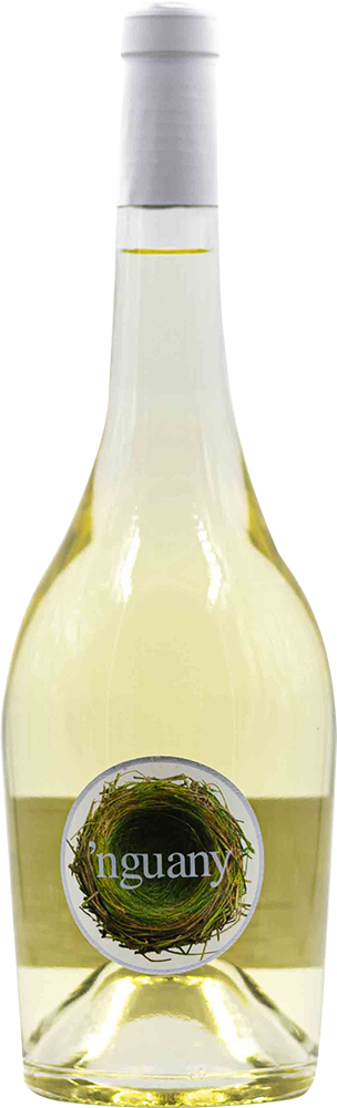2025 Nguany Blanco Mallorca VT