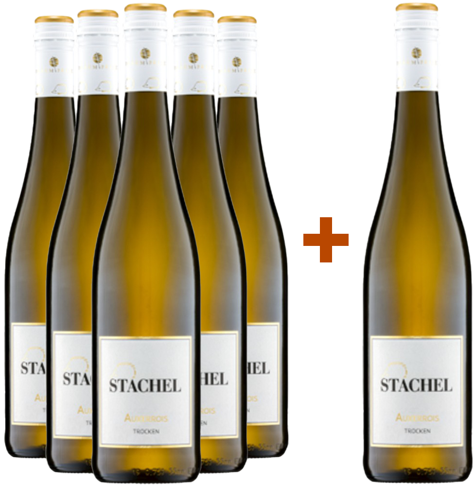 5+1 Paket Auxerrois trocken
