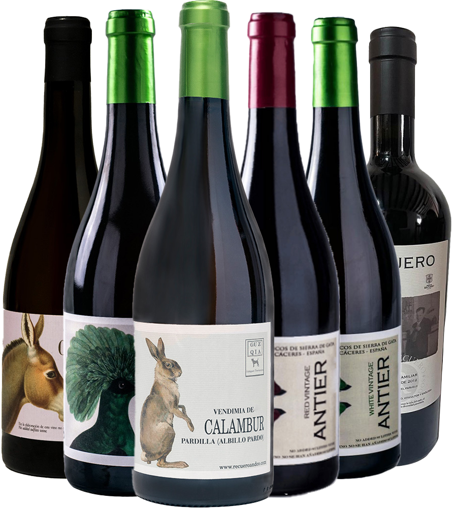 Kennenlernpaket Recuero & Co