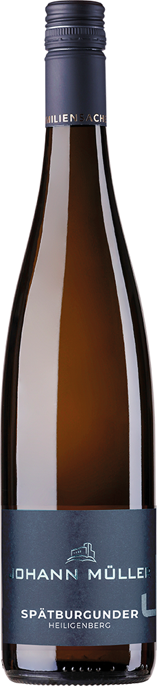 2023 Spätburgunder Rotwein - Am Heidengraben