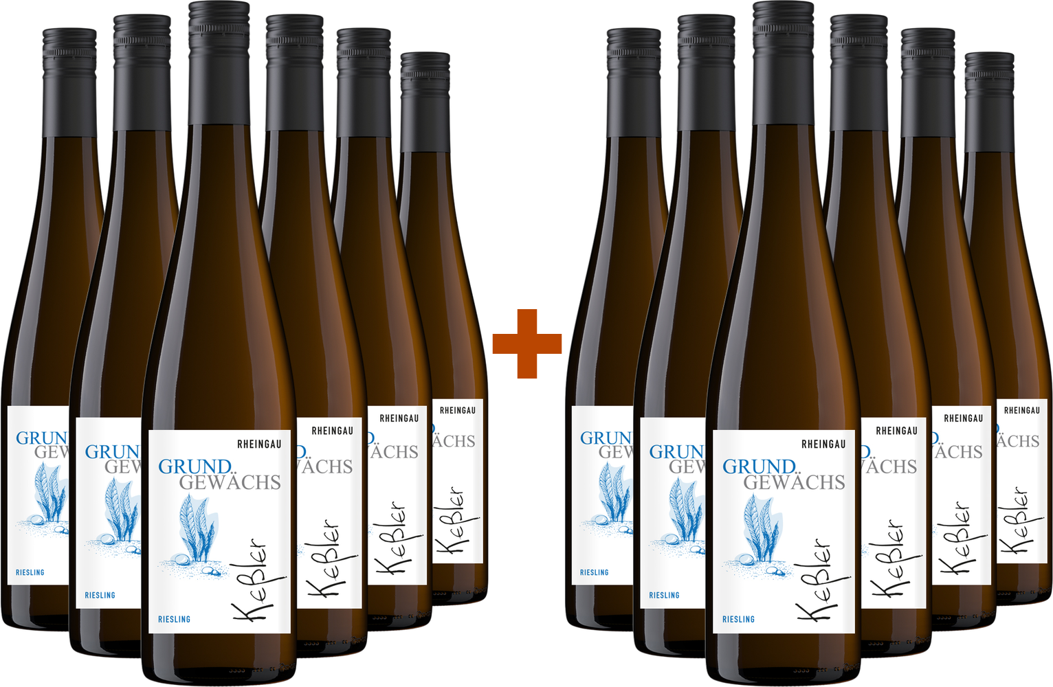 6+6 Paket Grundgewächs Hallgarten Riesling Kabinett trocken