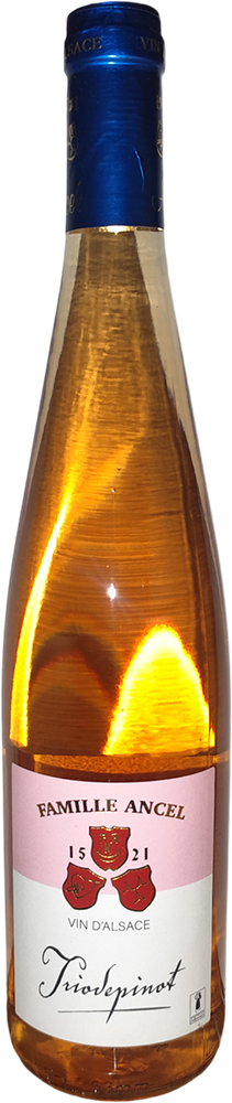 2024 Triodepinot Alsace AOP