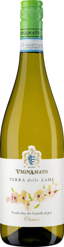 2024 Terra delle Lame Verdicchio dei Castelli di Jesi Classico DOC