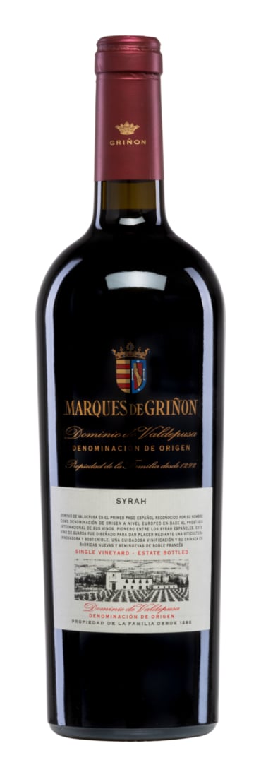 2021 Syrah Dominio de Valdepusa DOP